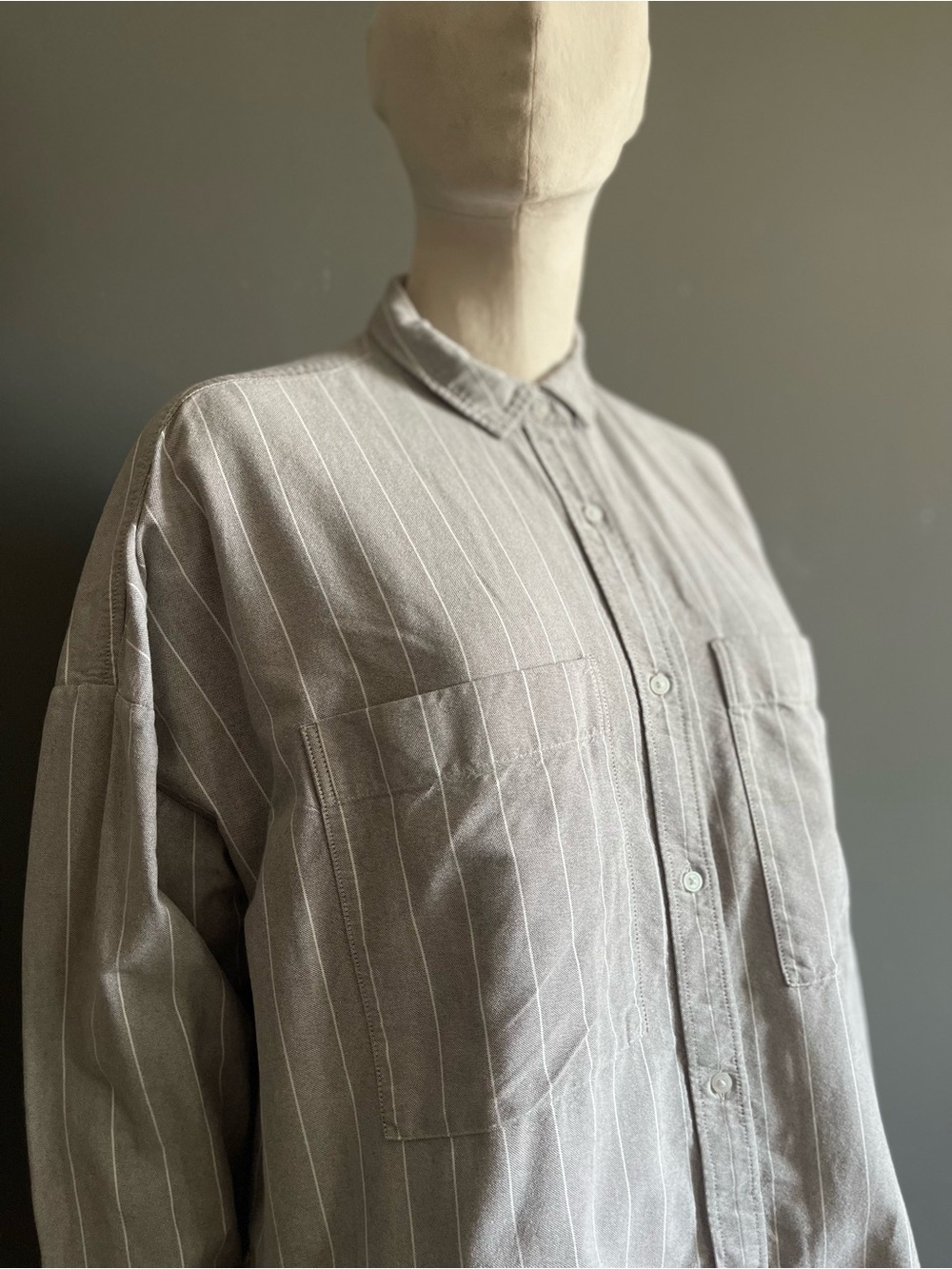 Everlane Original Batch Organic Cotton Gray Stripe Boxy Utility Oxford Shirt M/L